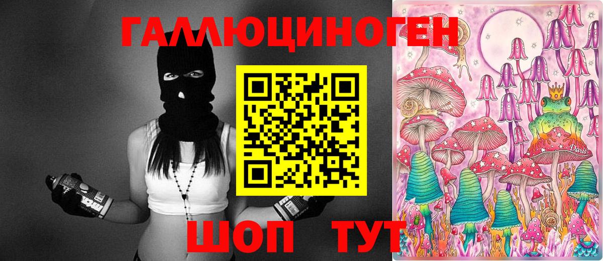 Петропавловск-Камчатский  Галлюциногенные грибы Psilocybine cubensis  Вход с VPN 